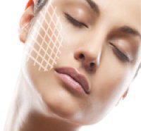 Векторный лифтинг Векторный лифтинг